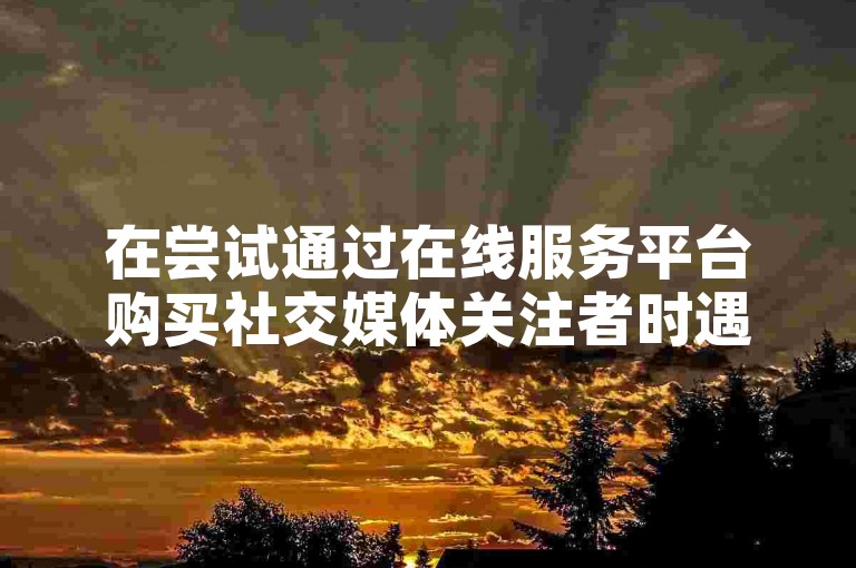 在尝试通过在线服务平台购买社交媒体关注者时遇到了障碍。
