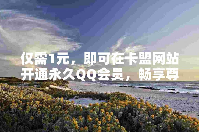 仅需1元，即可在卡盟网站开通永久QQ会员，畅享尊贵特权。