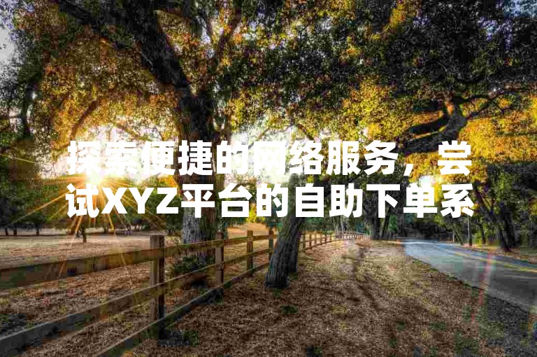 探索便捷的网络服务，尝试XYZ平台的自助下单系统，轻松实现秒赞秒评。
