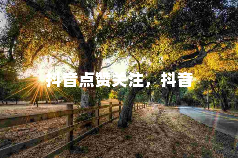 抖音点赞关注，抖音5元1000赞 - 抖音免费服务全网最优 - 抖音免费服务全网最优畅享无限