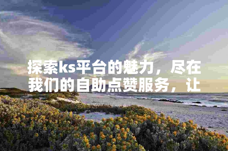 探索ks平台的魅力，尽在我们的自助点赞服务，让互动变得更加简单快捷。