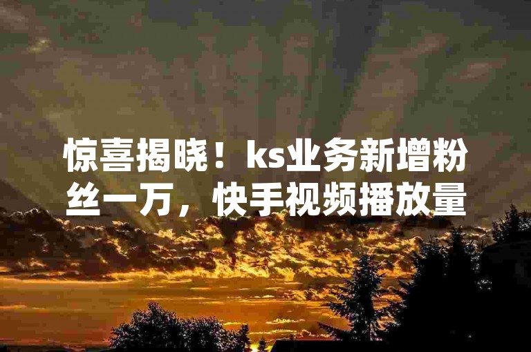 惊喜揭晓！ks业务新增粉丝一万，快手视频播放量破万的免费平台 - pubg优惠卡网 - 空间动态点赞速领。