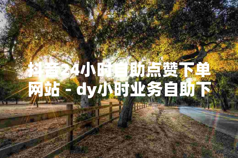 抖音24小时自助点赞下单网站 - dy小时业务自助下单平台。