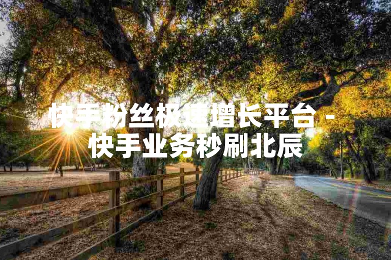 快手粉丝极速增长平台 - 快手业务秒刷北辰