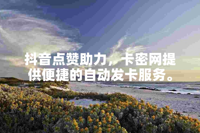 抖音点赞助力，卡密网提供便捷的自动发卡服务。