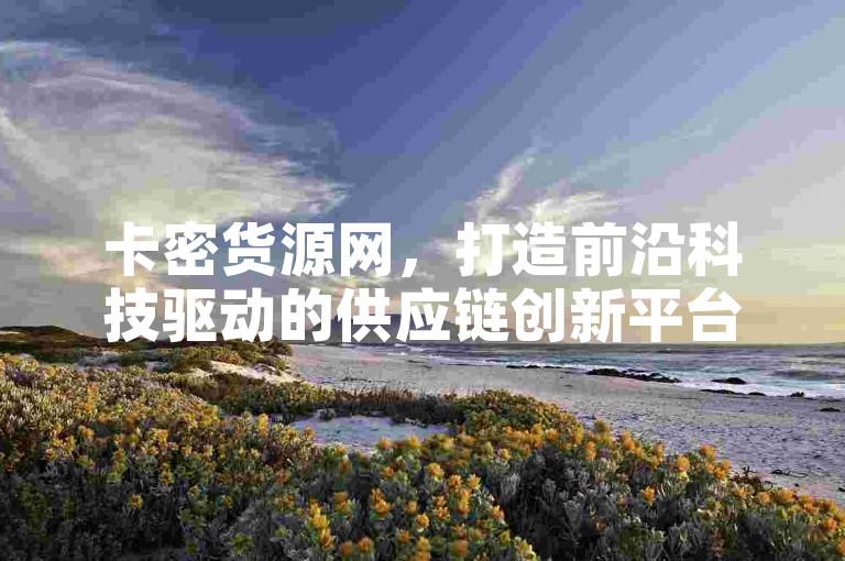 卡密货源网，打造前沿科技驱动的供应链创新平台。