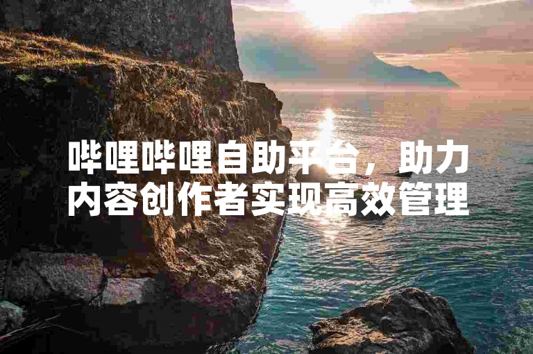 哔哩哔哩自助平台，助力内容创作者实现高效管理和运营。