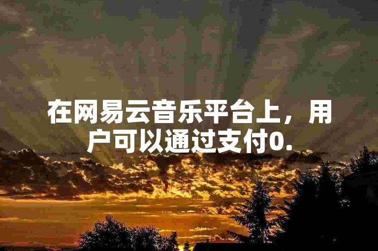 在网易云音乐平台上，用户可以通过支付0.5元来获得1000次歌曲播放量的自助下单服务。