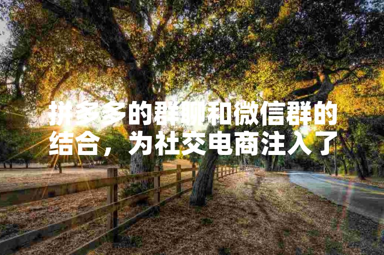 拼多多的群聊和微信群的结合，为社交电商注入了新的活力。