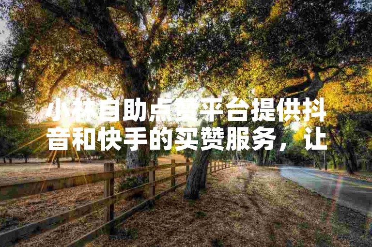 小林自助点赞平台提供抖音和快手的买赞服务，让你轻松获得真实点赞。