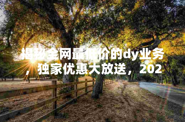 揭秘全网最低价的dy业务，独家优惠大放送，2025年必学！