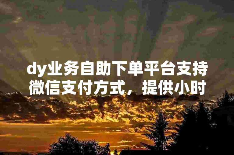 dy业务自助下单平台支持微信支付方式，提供小时快手自助下单服务。