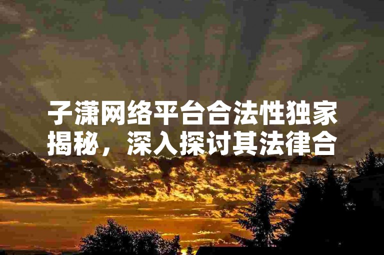 子潇网络平台合法性独家揭秘，深入探讨其法律合规性，2025年必知！