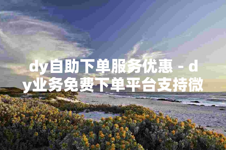dy自助下单服务优惠 - dy业务免费下单平台支持微信支付
