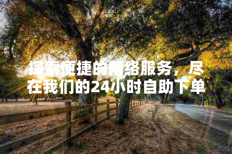 探索便捷的网络服务，尽在我们的24小时自助下单卡盟网站，提供全面的低价业务解决方案。