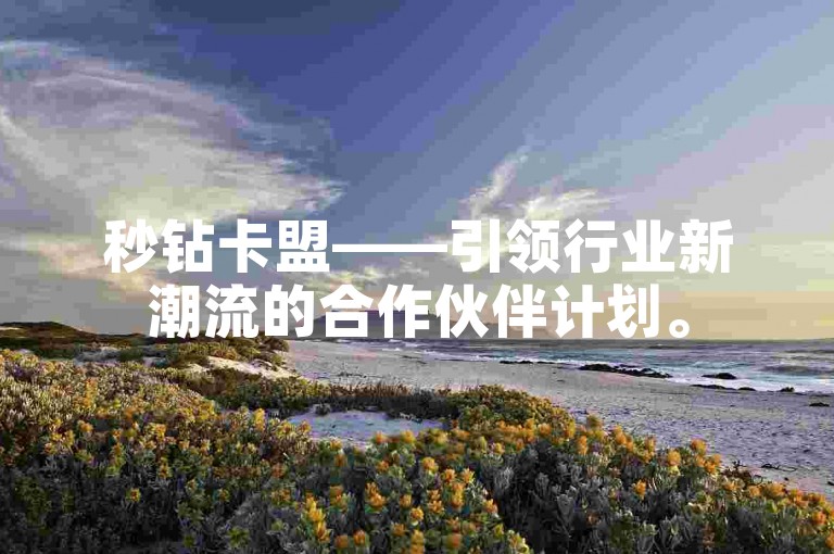 秒钻卡盟——引领行业新潮流的合作伙伴计划。