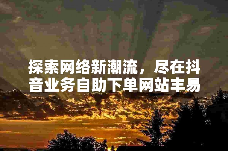 探索网络新潮流，尽在抖音业务自助下单网站丰易，24小时不打烊的涨粉服务等你体验。