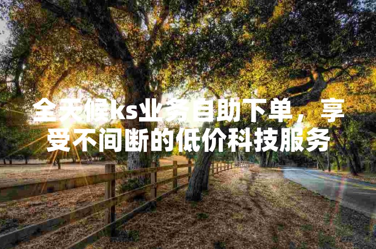 全天候ks业务自助下单，享受不间断的低价科技服务。