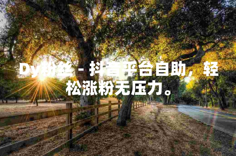 Dy粉丝 - 抖音平台自助，轻松涨粉无压力。