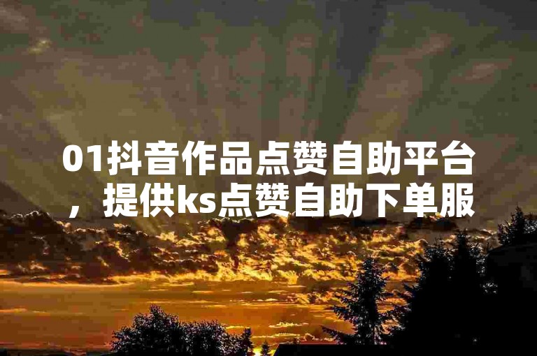01抖音作品点赞自助平台，提供ks点赞自助下单服务。