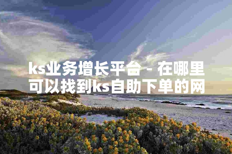 ks业务增长平台 - 在哪里可以找到ks自助下单的网址呢？
