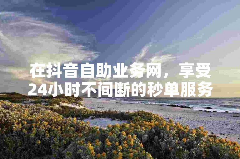 在抖音自助业务网，享受24小时不间断的秒单服务，体验低价而高效的社交媒体推广之旅。