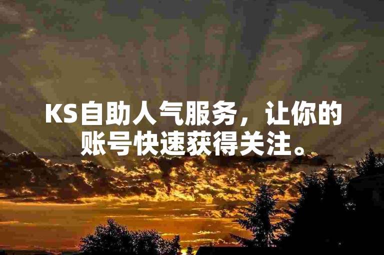 KS自助人气服务，让你的账号快速获得关注。