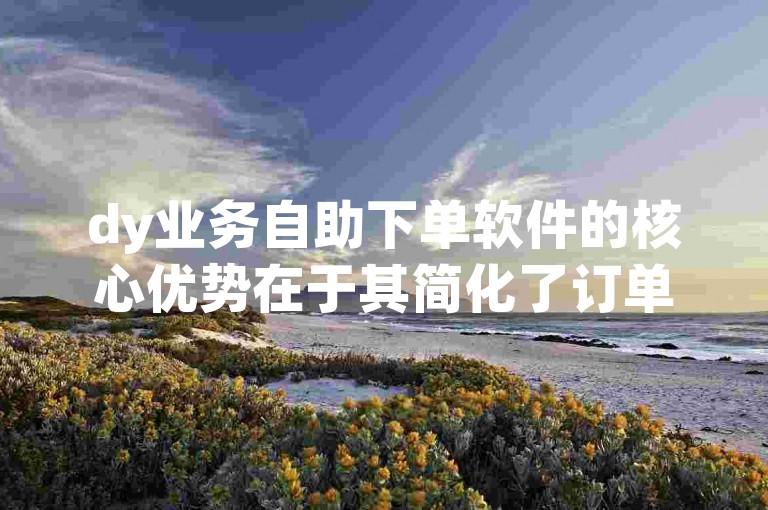 dy业务自助下单软件的核心优势在于其简化了订单流程，提升了效率，是新用户的理想选择！