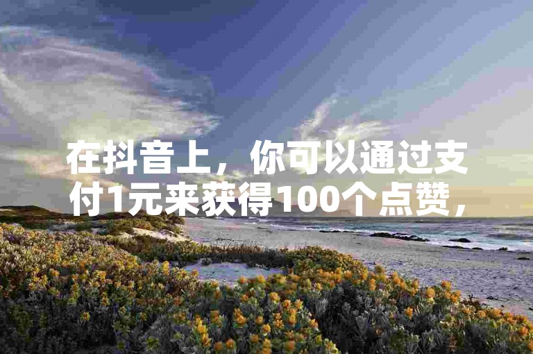 在抖音上，你可以通过支付1元来获得100个点赞，而在快手平台上，3元就能购买到一万个粉丝，安逸发卡网提供24小时自动下单服务。