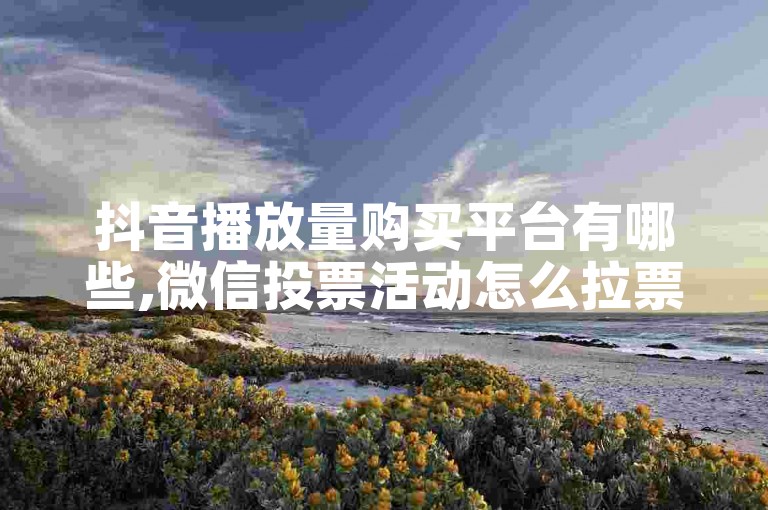 抖音播放量购买平台有哪些,微信投票活动怎么拉票 - Dd24小时自助下单平台 - 卡盟论坛最新动态