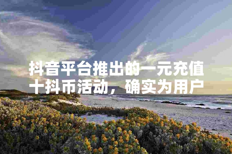 抖音平台推出的一元充值十抖币活动，确实为用户提供了超值的优惠体验。