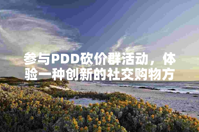 参与PDD砍价群活动，体验一种创新的社交购物方式。