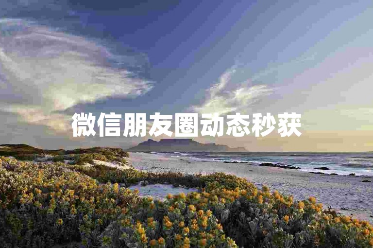 微信朋友圈动态秒获50赞，抖音点赞链接怎么找？- dj代表什么？- 全天候在线自助服务应用惊喜上线！