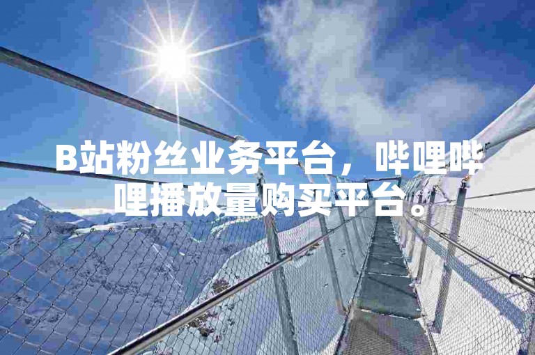 B站粉丝业务平台，哔哩哔哩播放量购买平台。