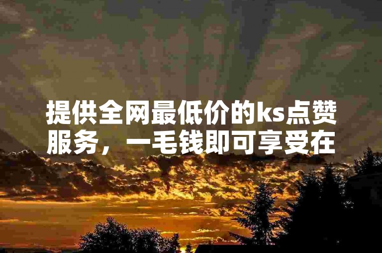 提供全网最低价的ks点赞服务，一毛钱即可享受在线自助下单的便捷。