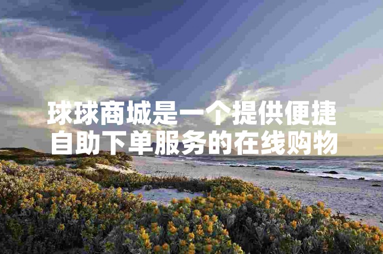 球球商城是一个提供便捷自助下单服务的在线购物平台，让用户享受快速购买体验。