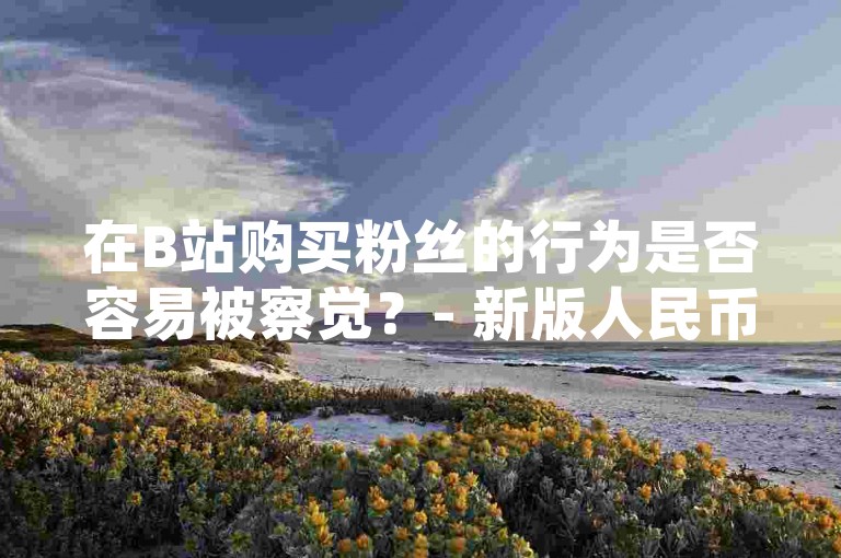 在B站购买粉丝的行为是否容易被察觉？- 新版人民币能否继续使用，以及如何通过云商城进行在线购物。