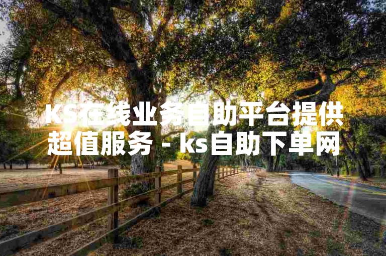 KS在线业务自助平台提供超值服务 - ks自助下单网站以实惠价格赢得好评