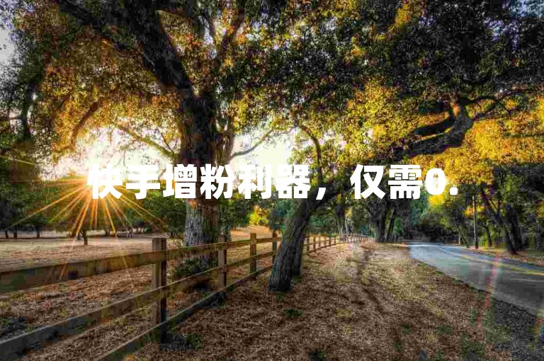 快手增粉利器，仅需0.5元，秒速收获100忠实粉丝，助力账号飞速成长！