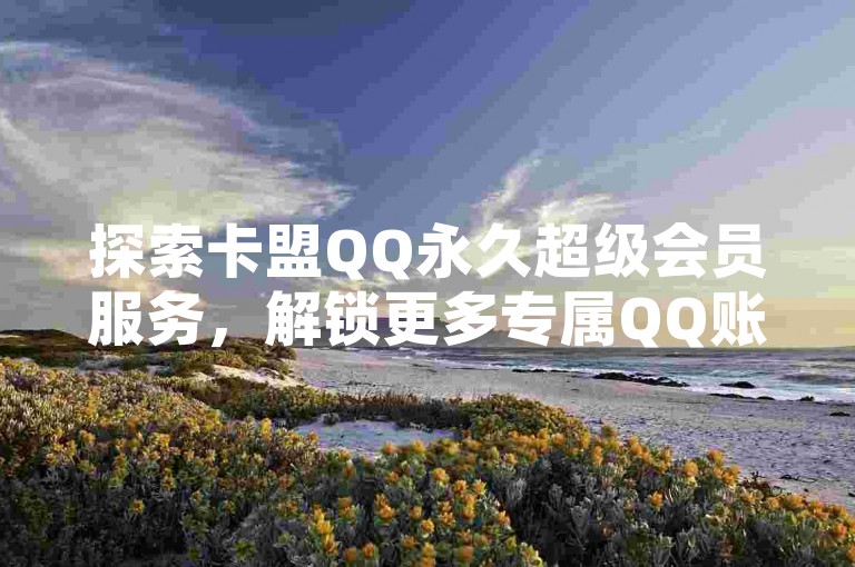 探索卡盟QQ永久超级会员服务，解锁更多专属QQ账号特权。