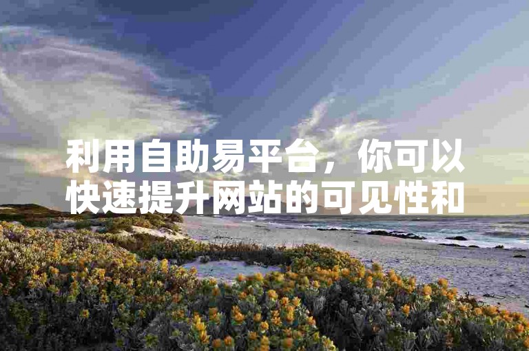 利用自助易平台，你可以快速提升网站的可见性和搜索引擎的排名。