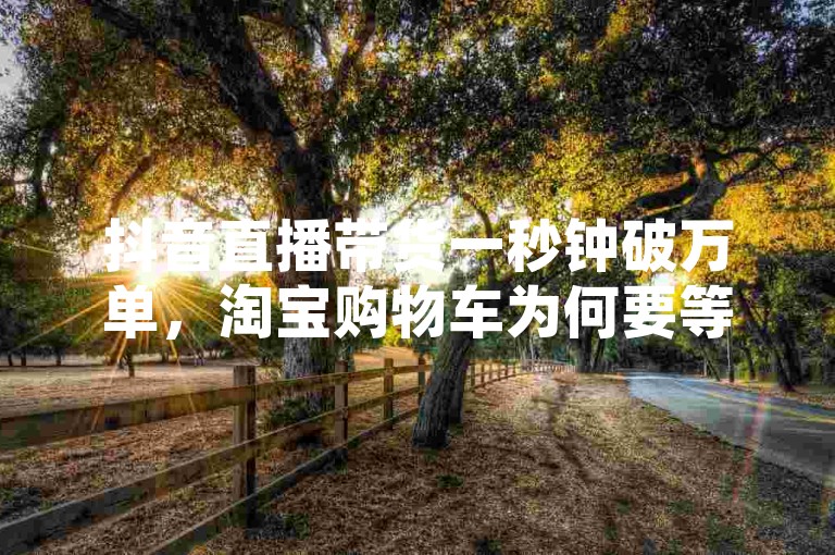 抖音直播带货一秒钟破万单，淘宝购物车为何要等商家发货，快手短视频24小时点赞不停歇，微博热搜榜实时更新，小红书种草笔记秒变爆款。