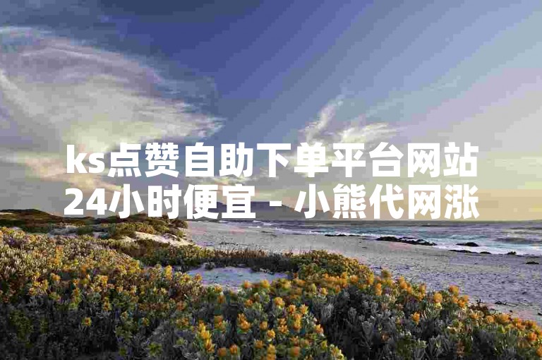 ks点赞自助下单平台网站24小时便宜 - 小熊代网涨赞。