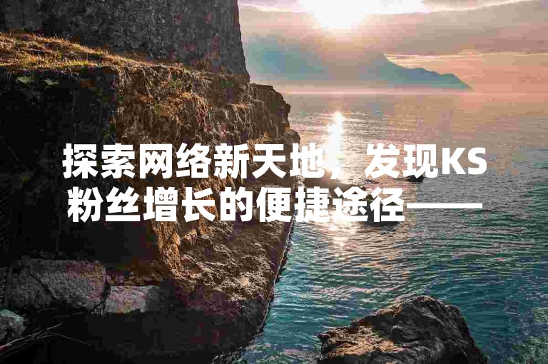 探索网络新天地，发现KS粉丝增长的便捷途径——全天候自助服务，经济实惠。