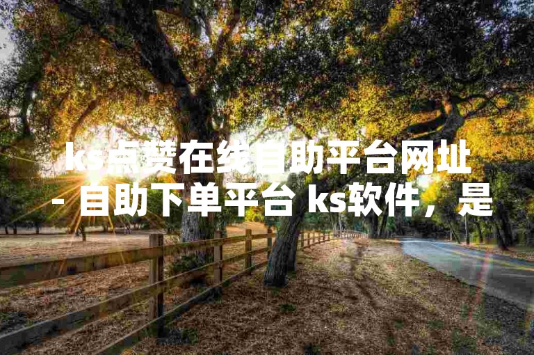 ks点赞在线自助平台网址 - 自助下单平台 ks软件，是一个便捷的网络服务工具。