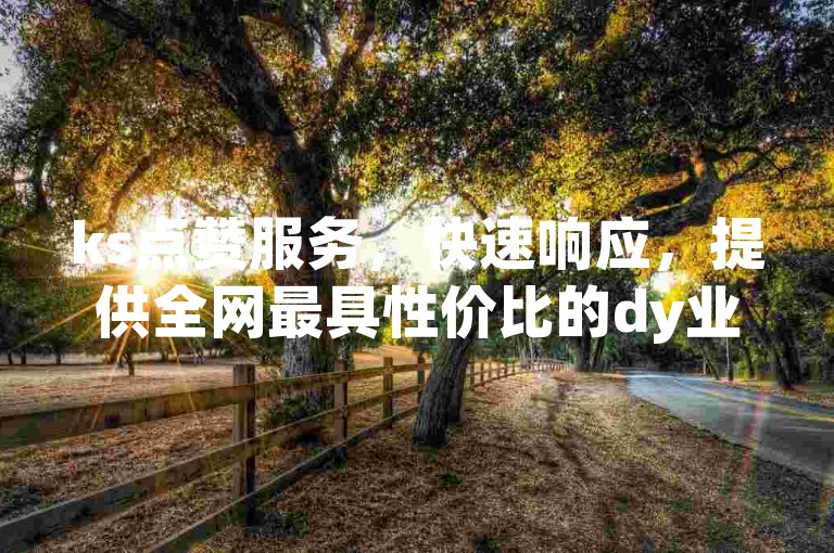 ks点赞服务，快速响应，提供全网最具性价比的dy业务平台。