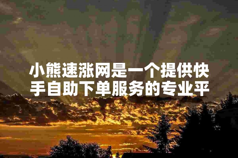 小熊速涨网是一个提供快手自助下单服务的专业平台。