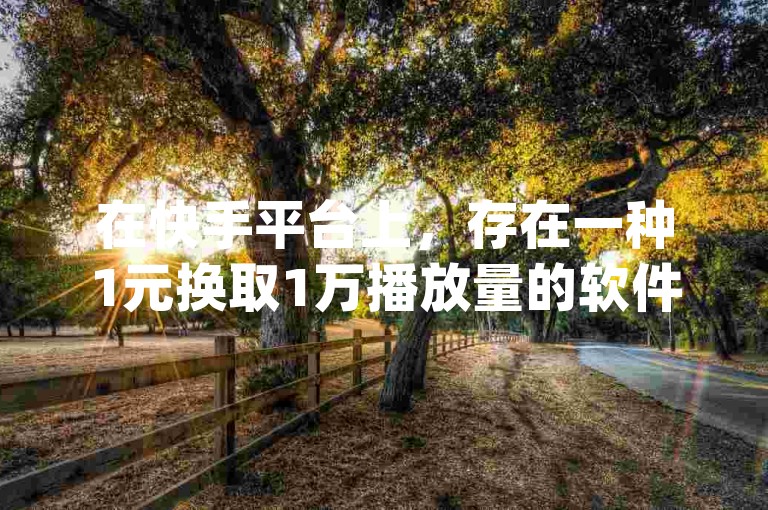 在快手平台上，存在一种1元换取1万播放量的软件服务(同时还有1元购买1000播放量的在线选项)。