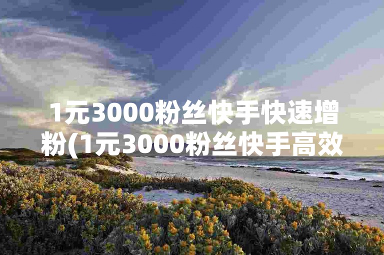 1元3000粉丝快手快速增粉(1元3000粉丝快手高效涨粉)