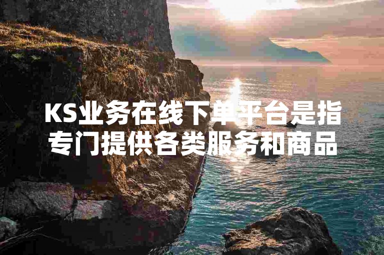 KS业务在线下单平台是指专门提供各类服务和商品的网络订购系统，用户可通过该平台便捷地选购所需项目并完成交易。